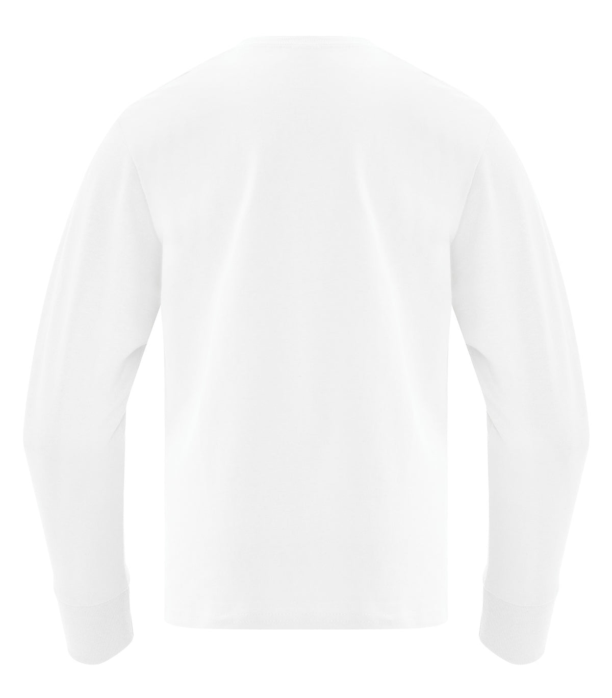 White-model Image