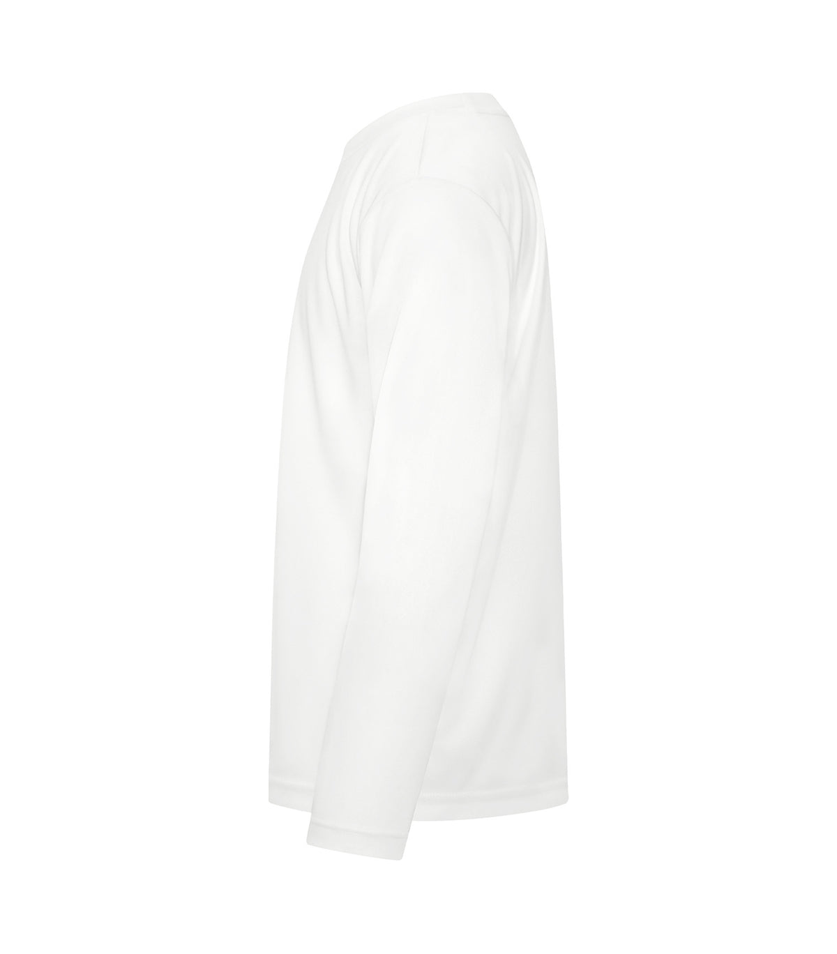 White-model Image