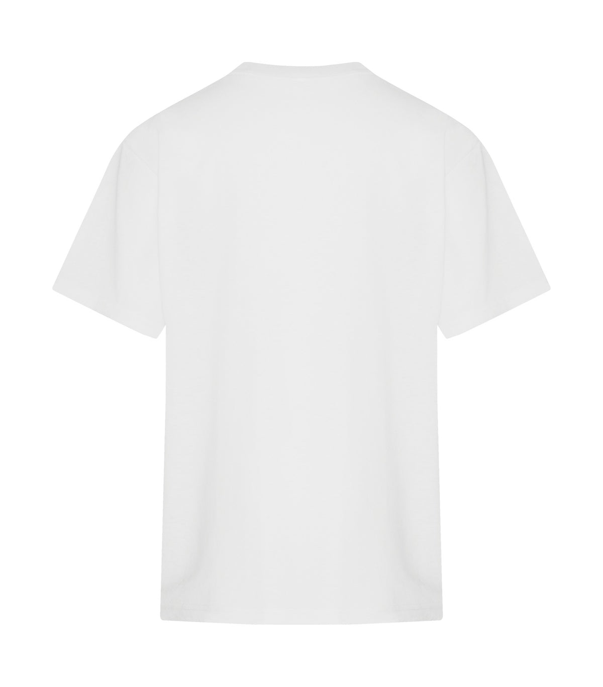 White-model Image