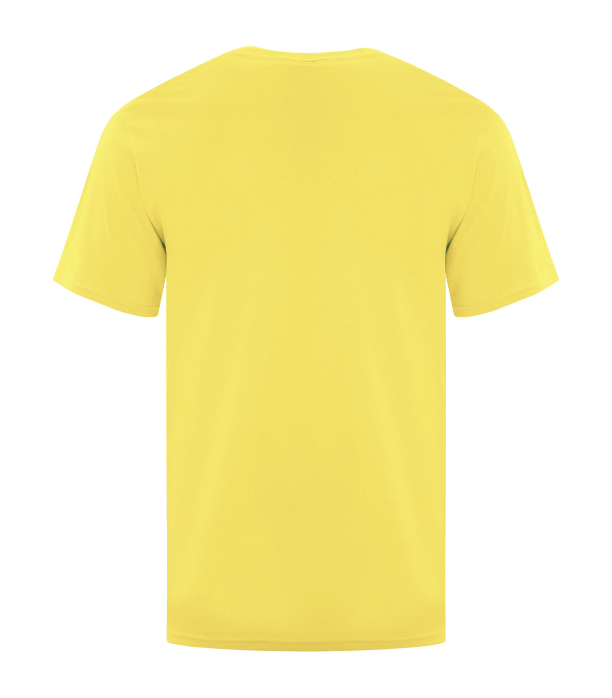 Yellow-model Image