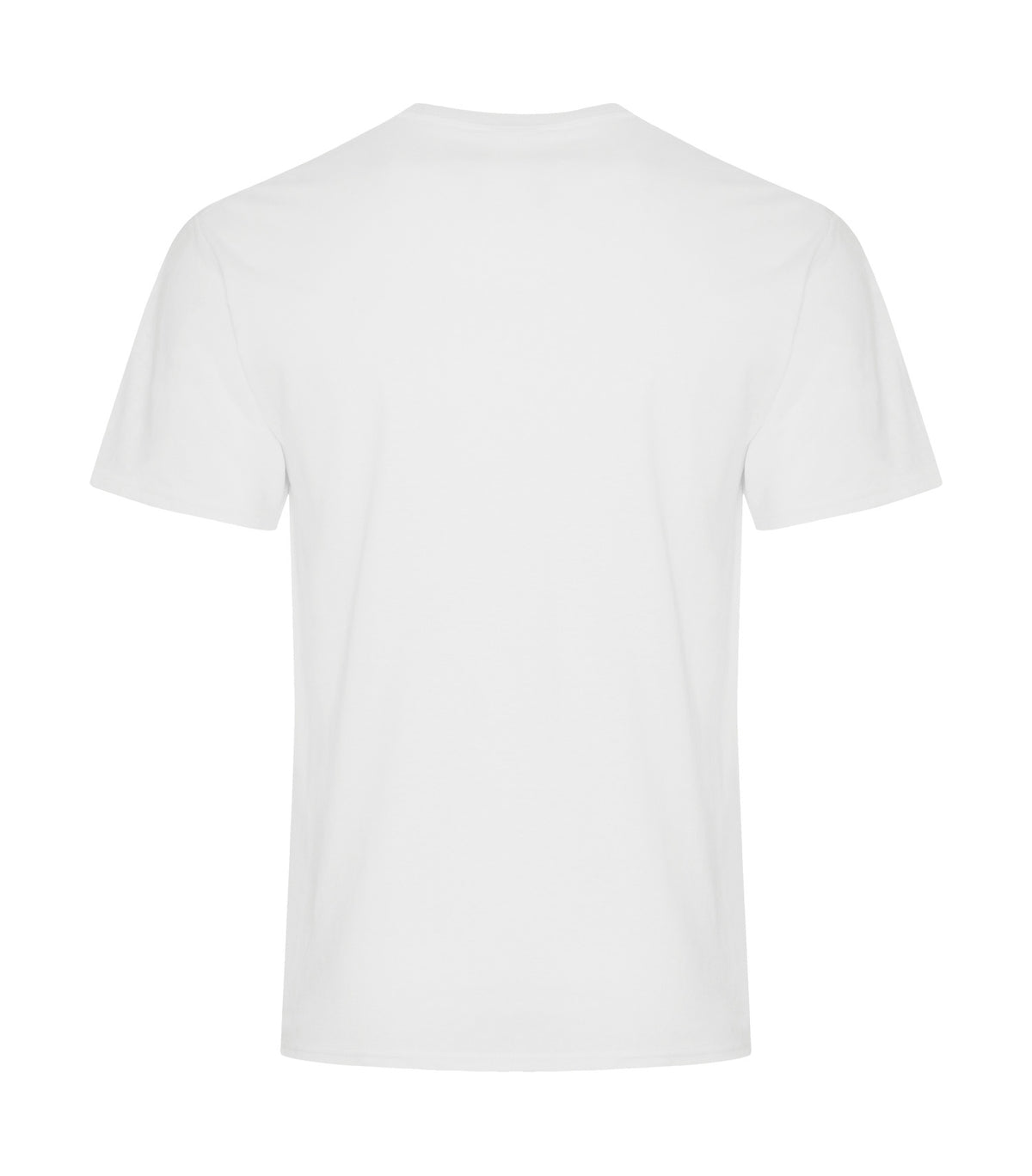 White-model Image