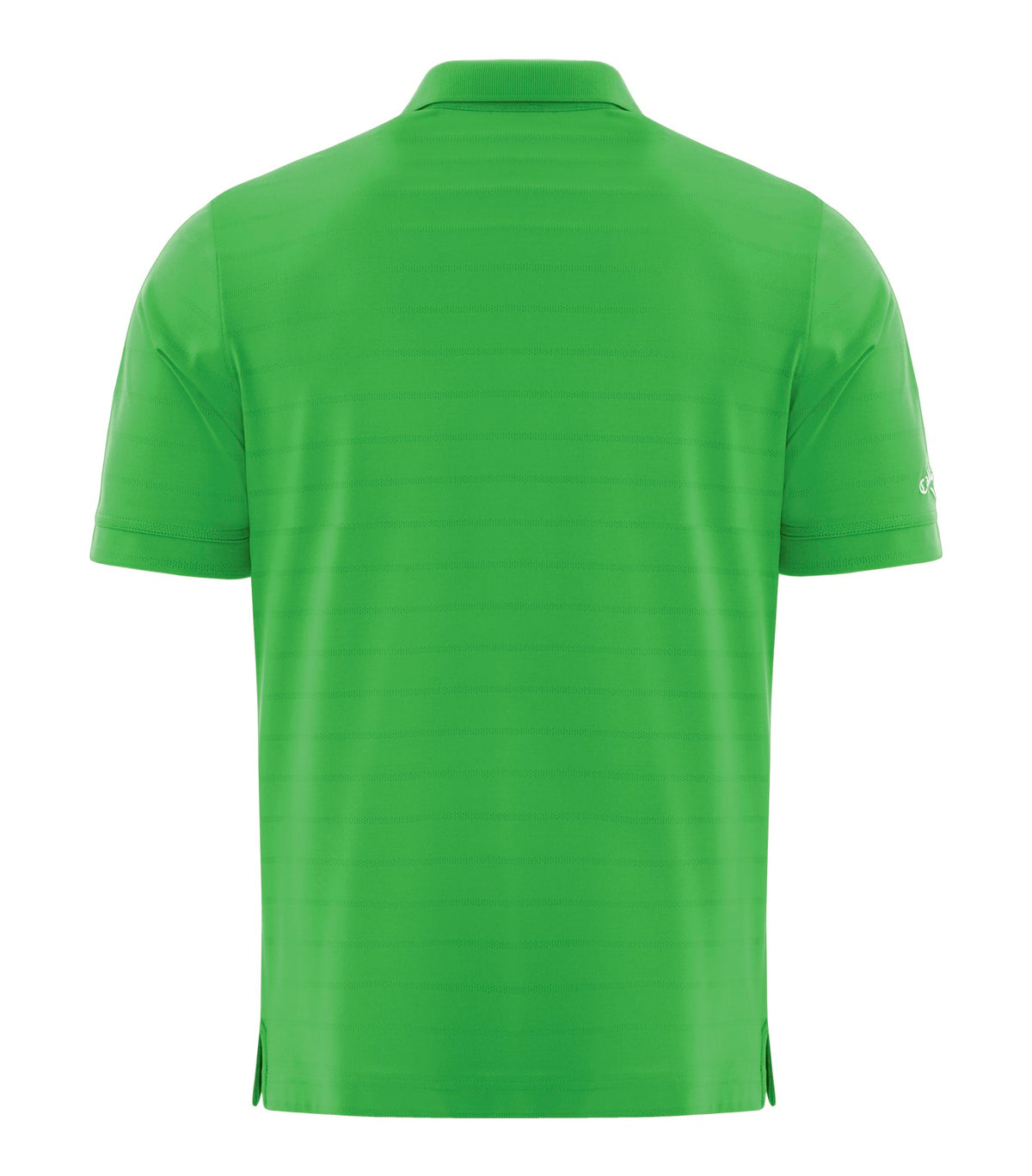 Vibrant Green-model Image