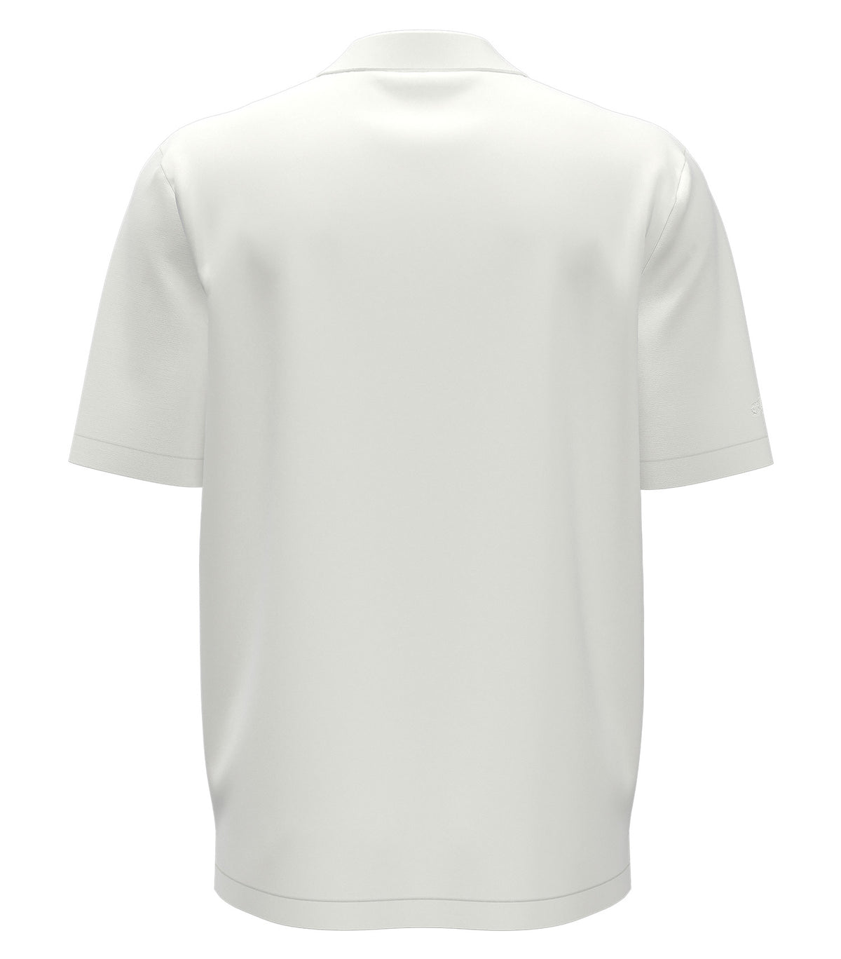 White-model Image