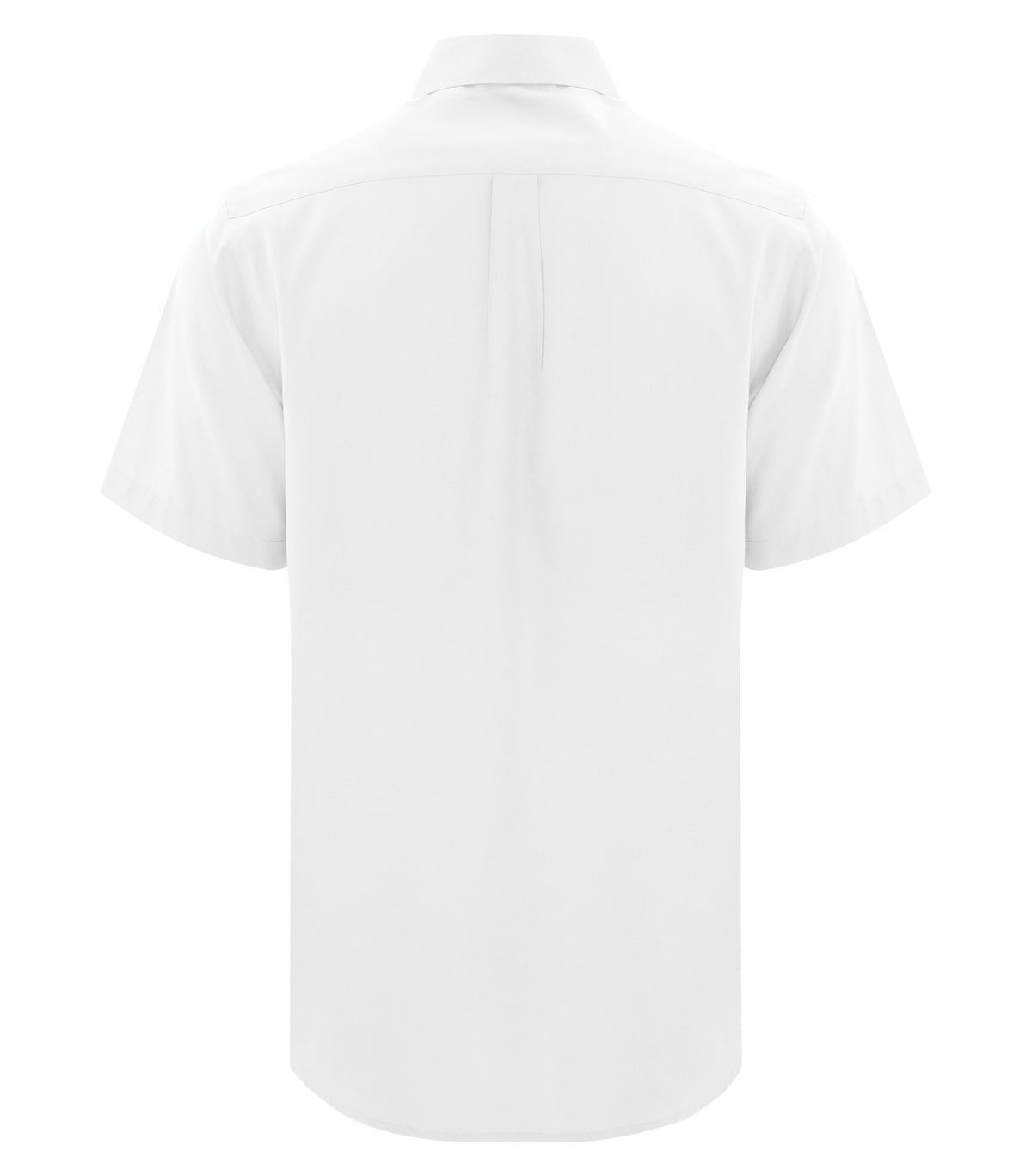 White-model Image