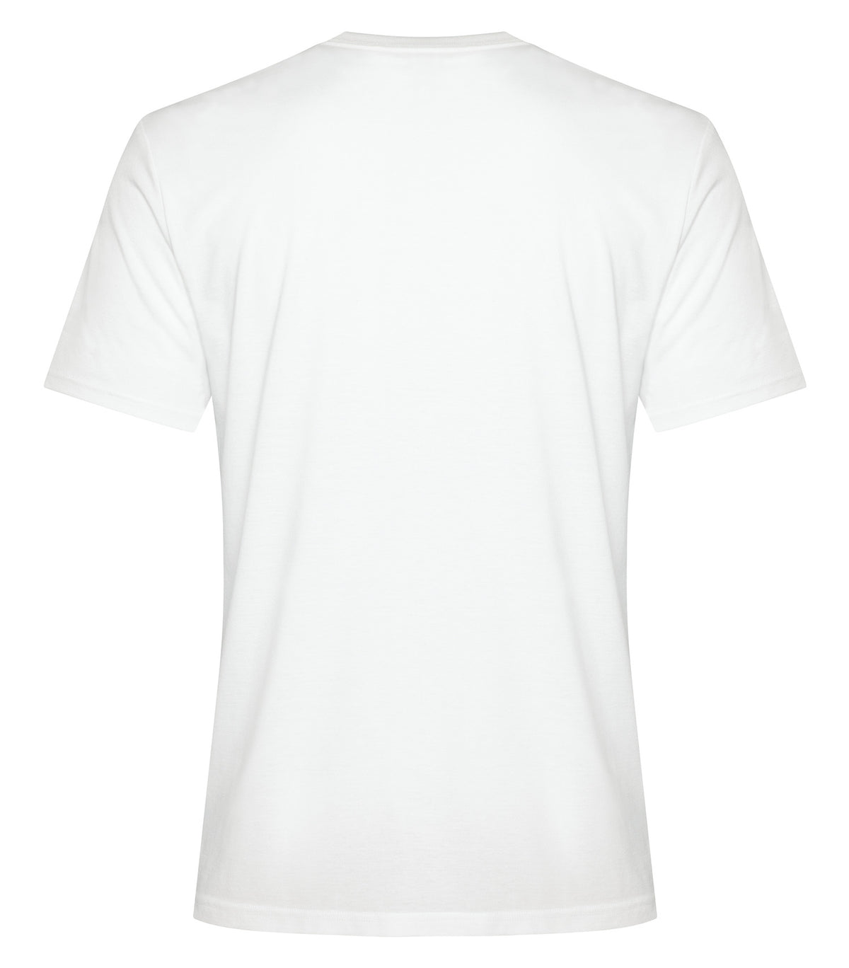 White-model Image