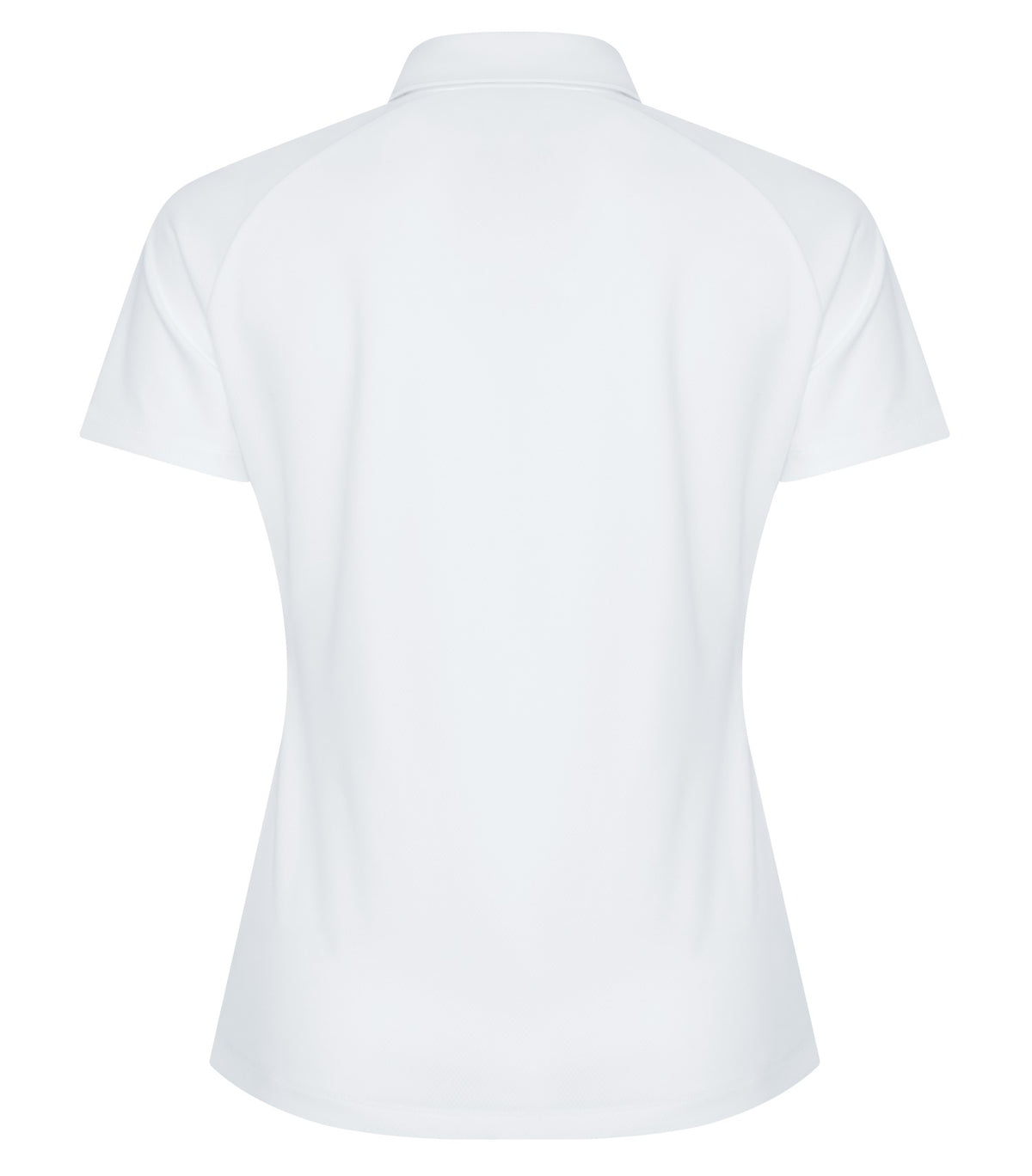 White-model Image