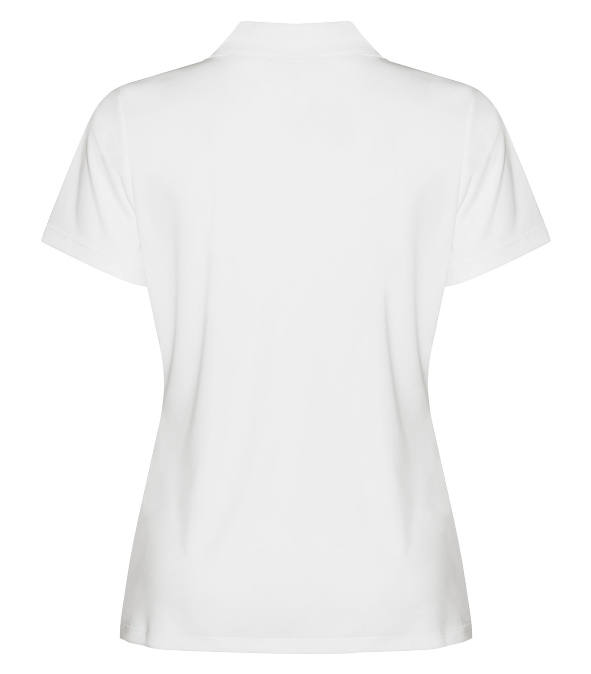 White-model Image