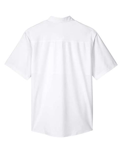 White-model Image