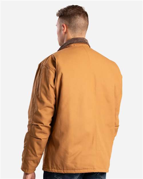 Brown Duck-model Image