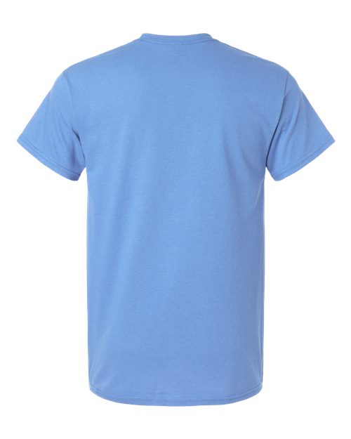 Carolina Blue-model Image
