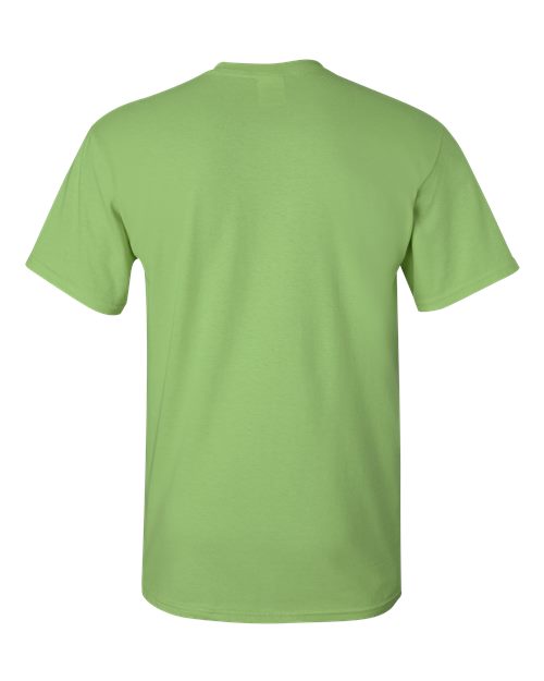Kiwi-model Image