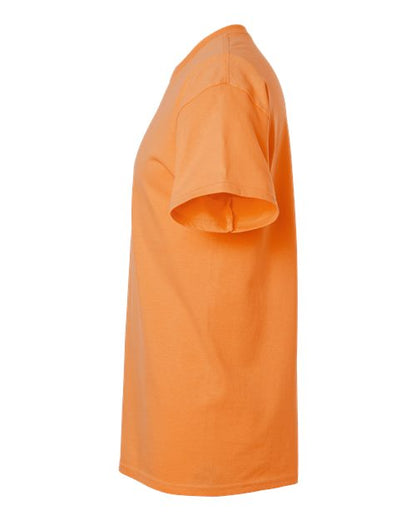 Tangerine-model Image