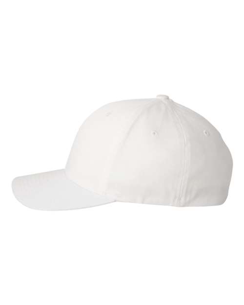 White-model Image