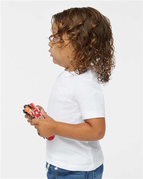 White-model Image