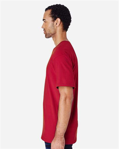 Scarlet Red-model Image