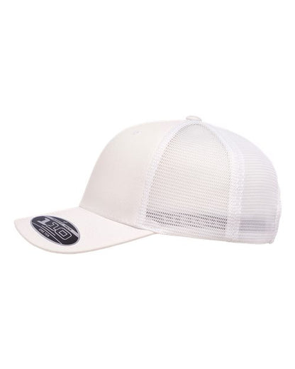 White-model Image