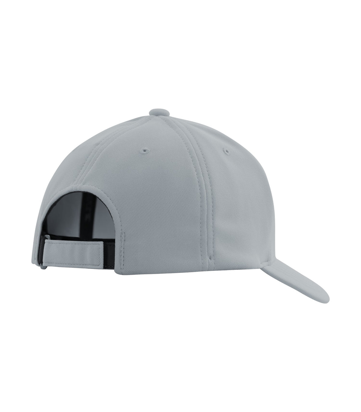 Silver-model Image