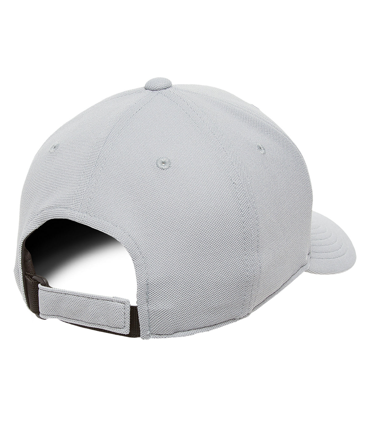 Silver-model Image