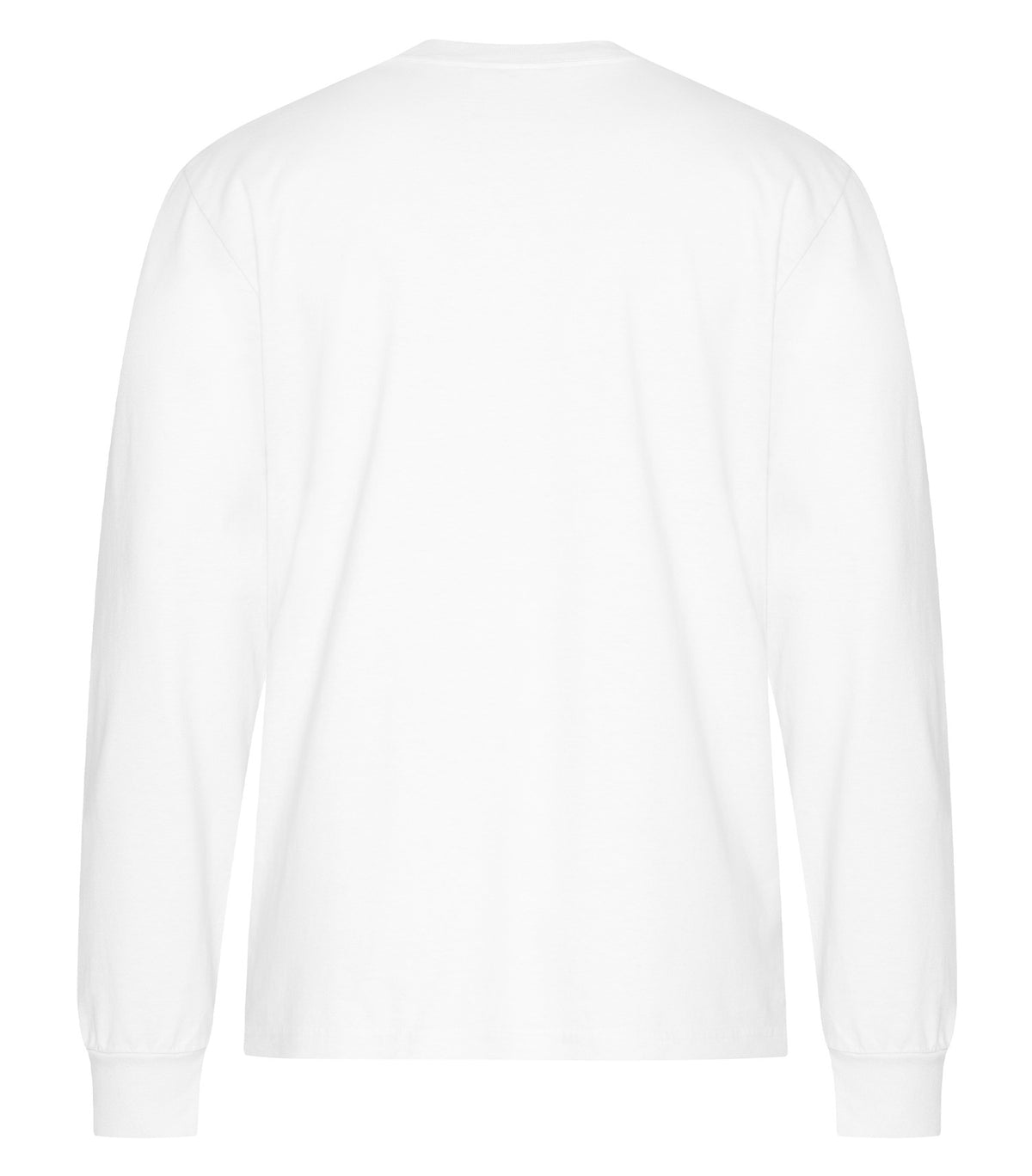 White-model Image