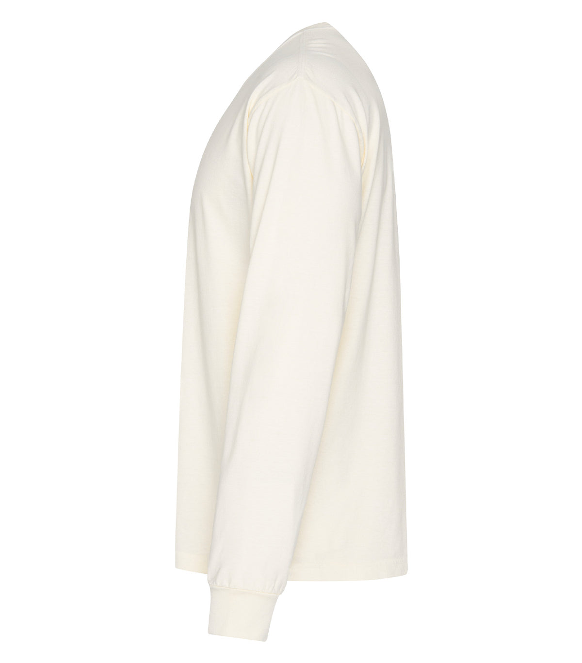 Ivory-model Image