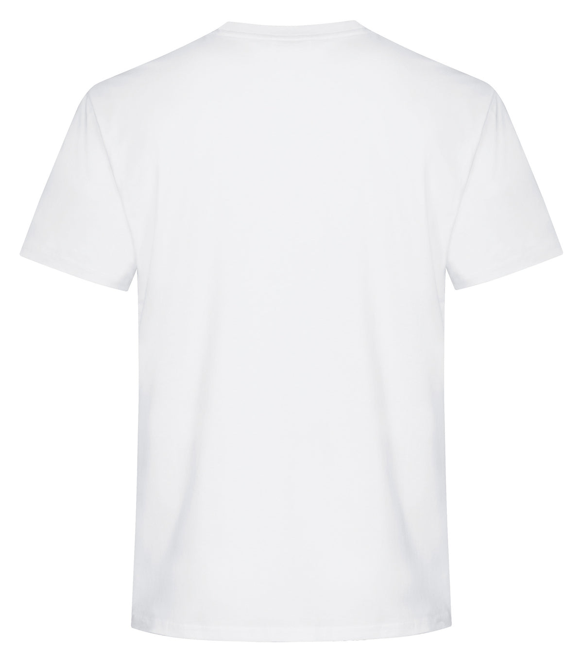White-model Image