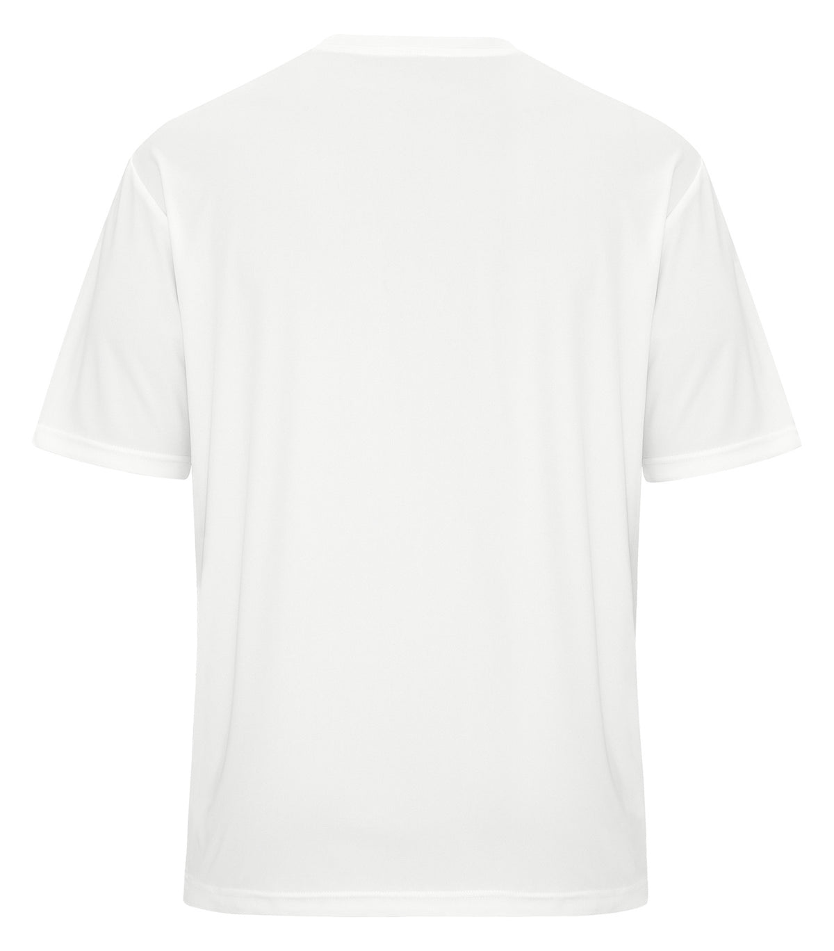 White-model Image