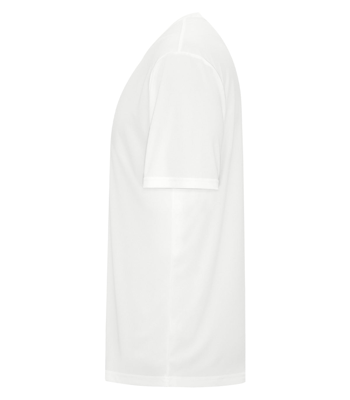 White-model Image