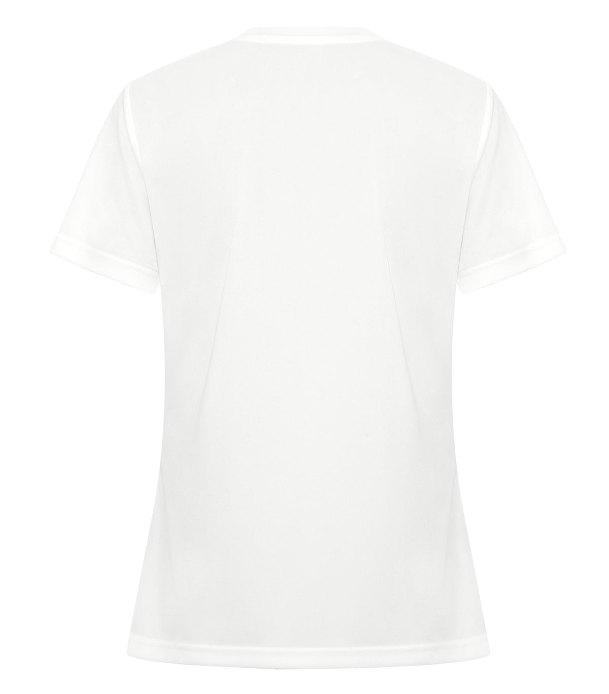 White-model Image
