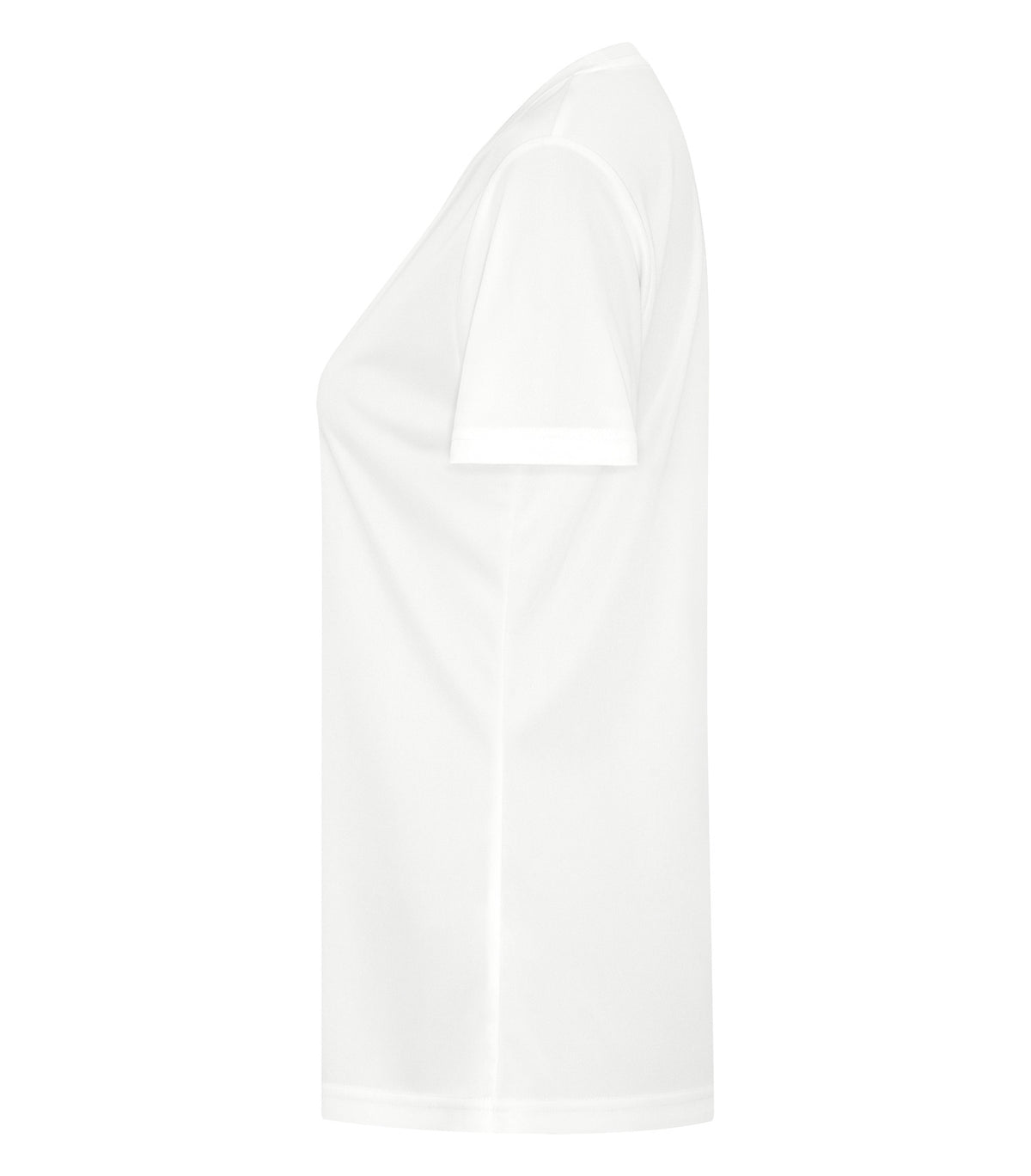 White-model Image