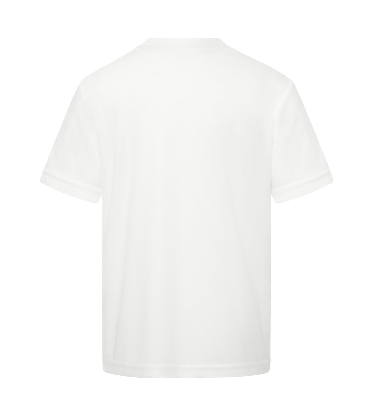 White-model Image