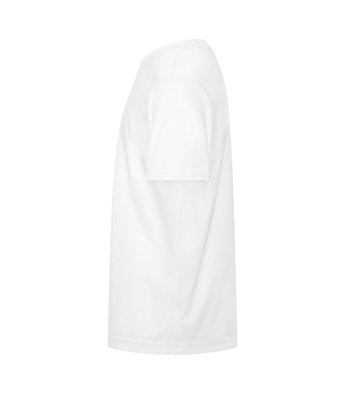 White-model Image
