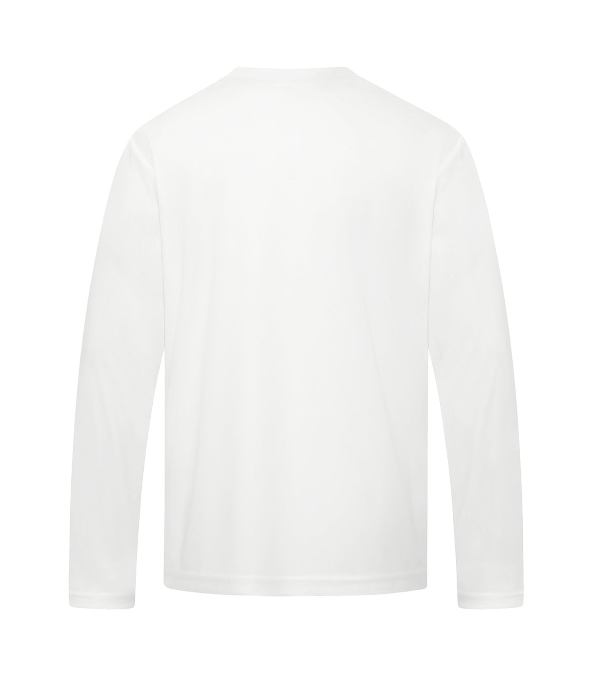 White-model Image