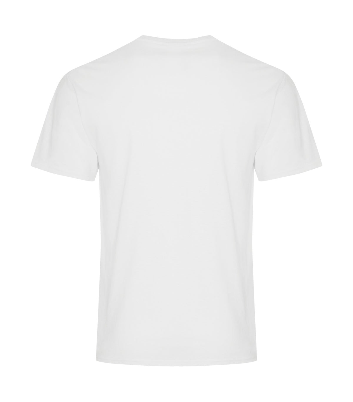 White-model Image