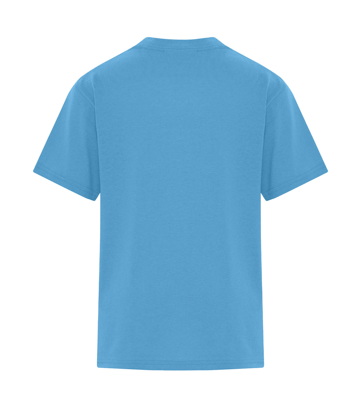 Aquatic Blue-model Image