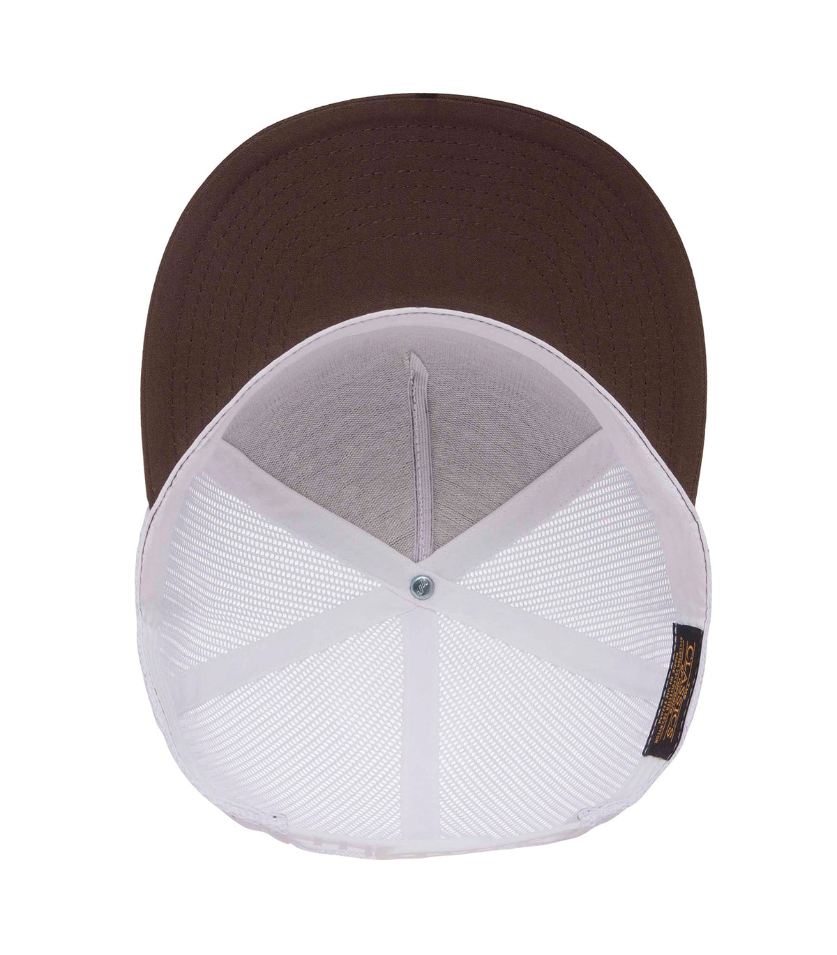 Brown/White-model Image