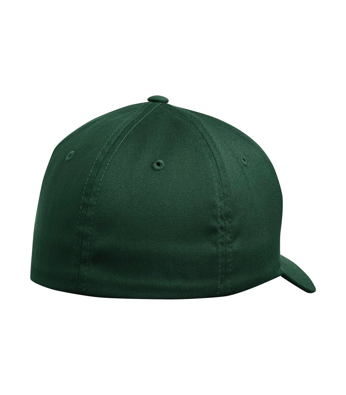 Spruce-model Image
