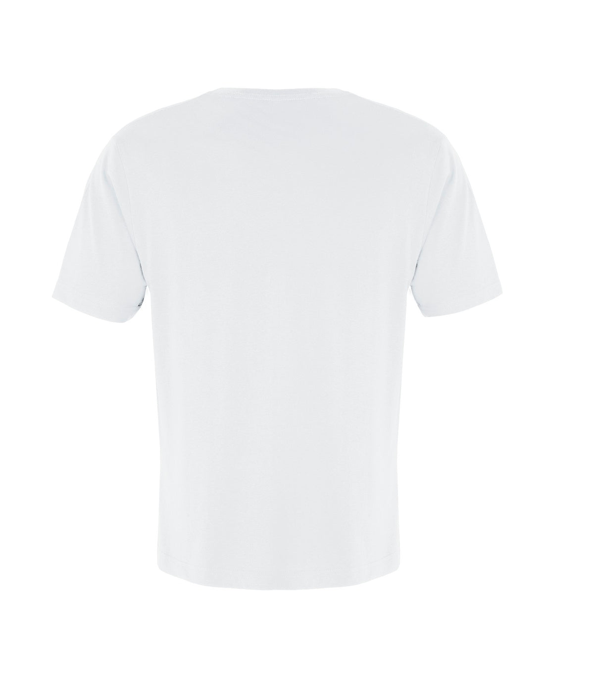 White-model Image