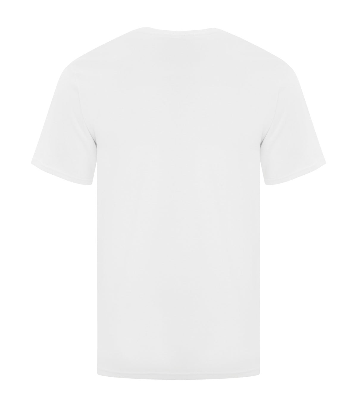White-model Image
