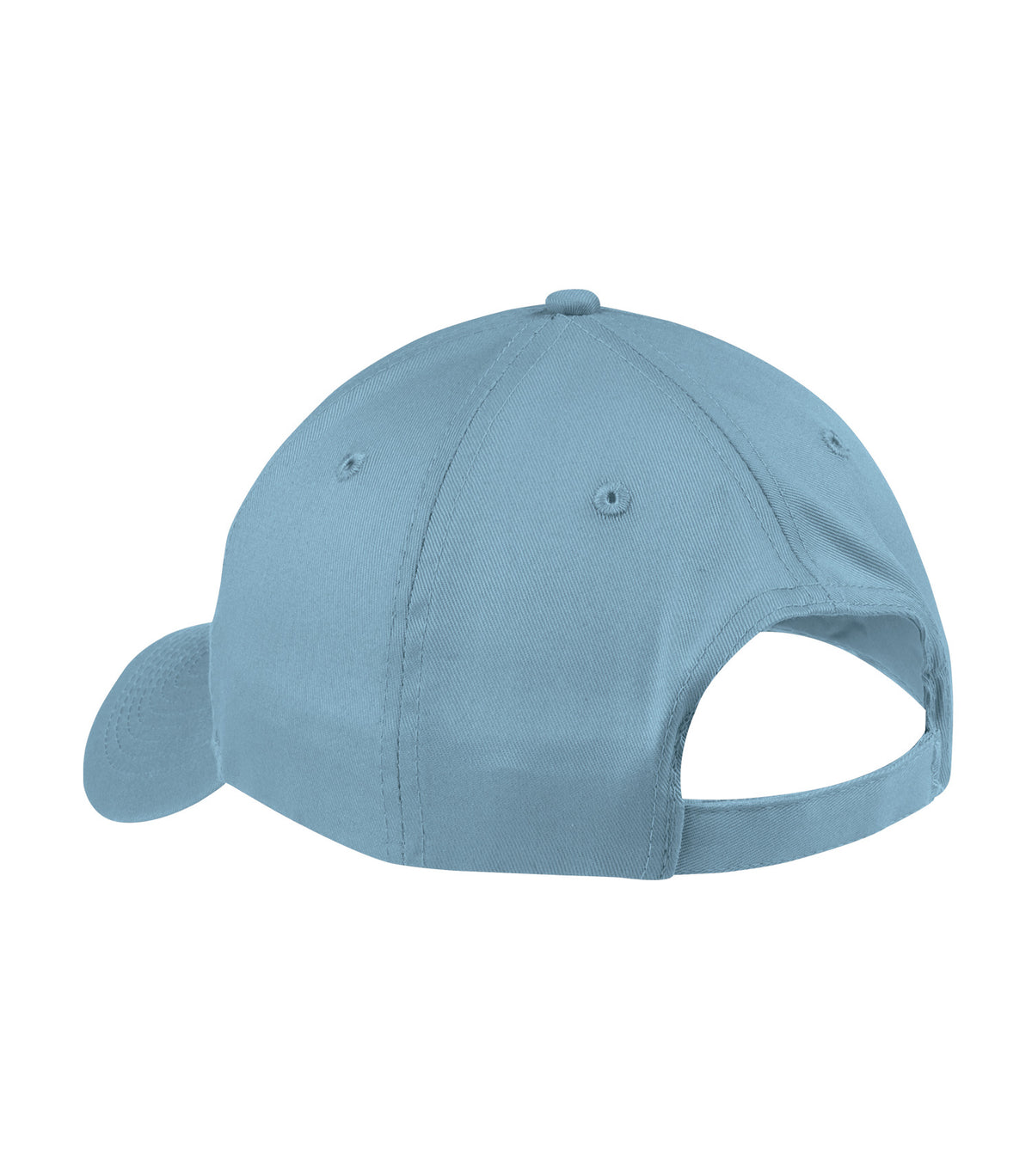Light Blue-model Image