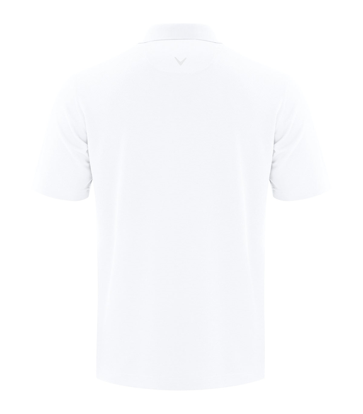 Bright White-model Image