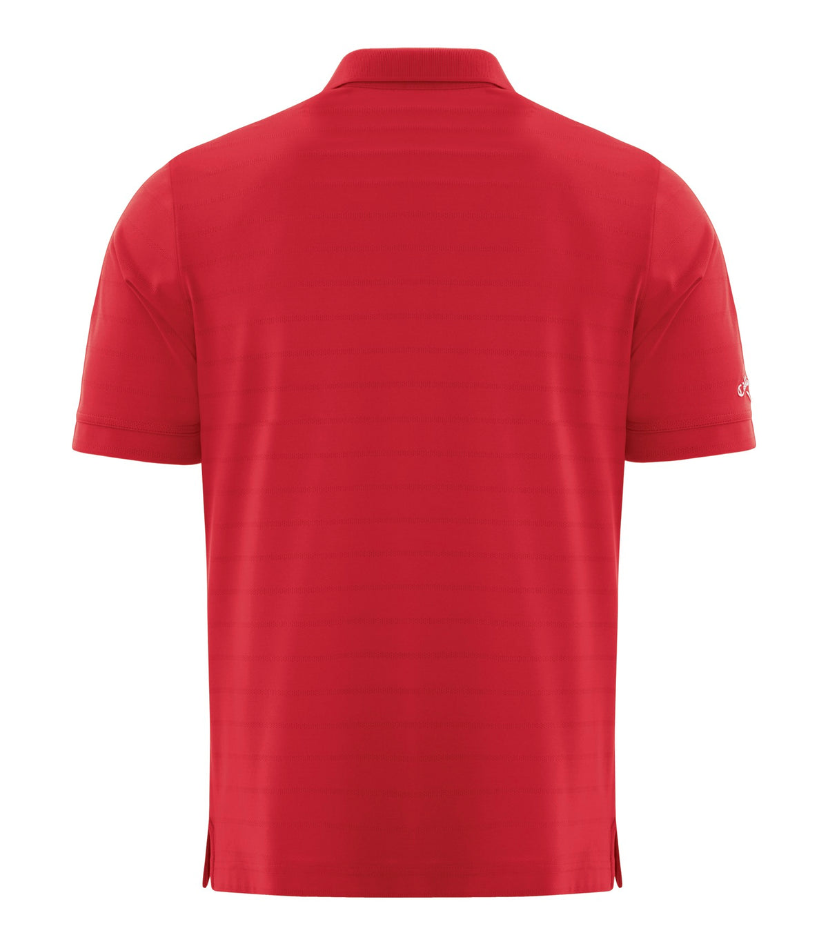 Salsa Red-model Image