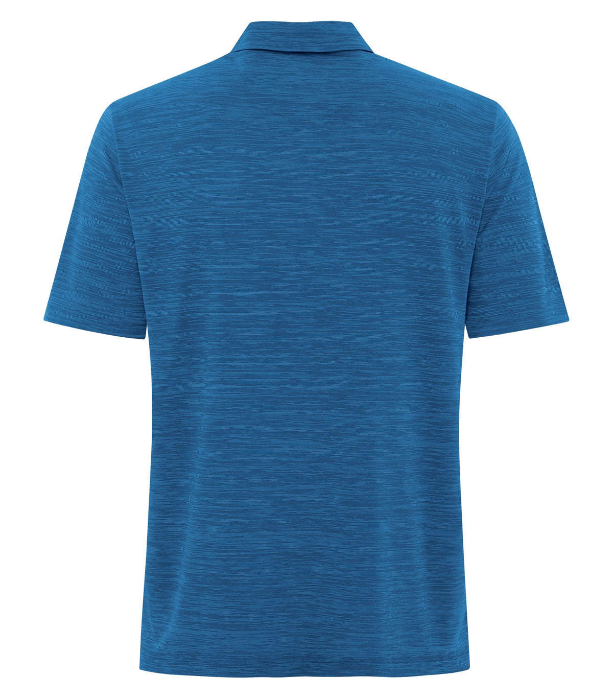 Blueberry-model Image