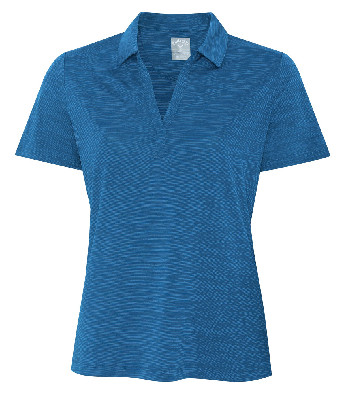 Blueberry-model Image