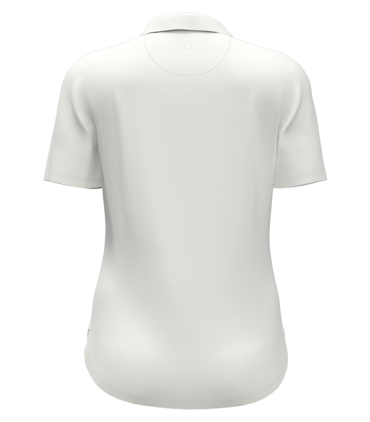 White-model Image