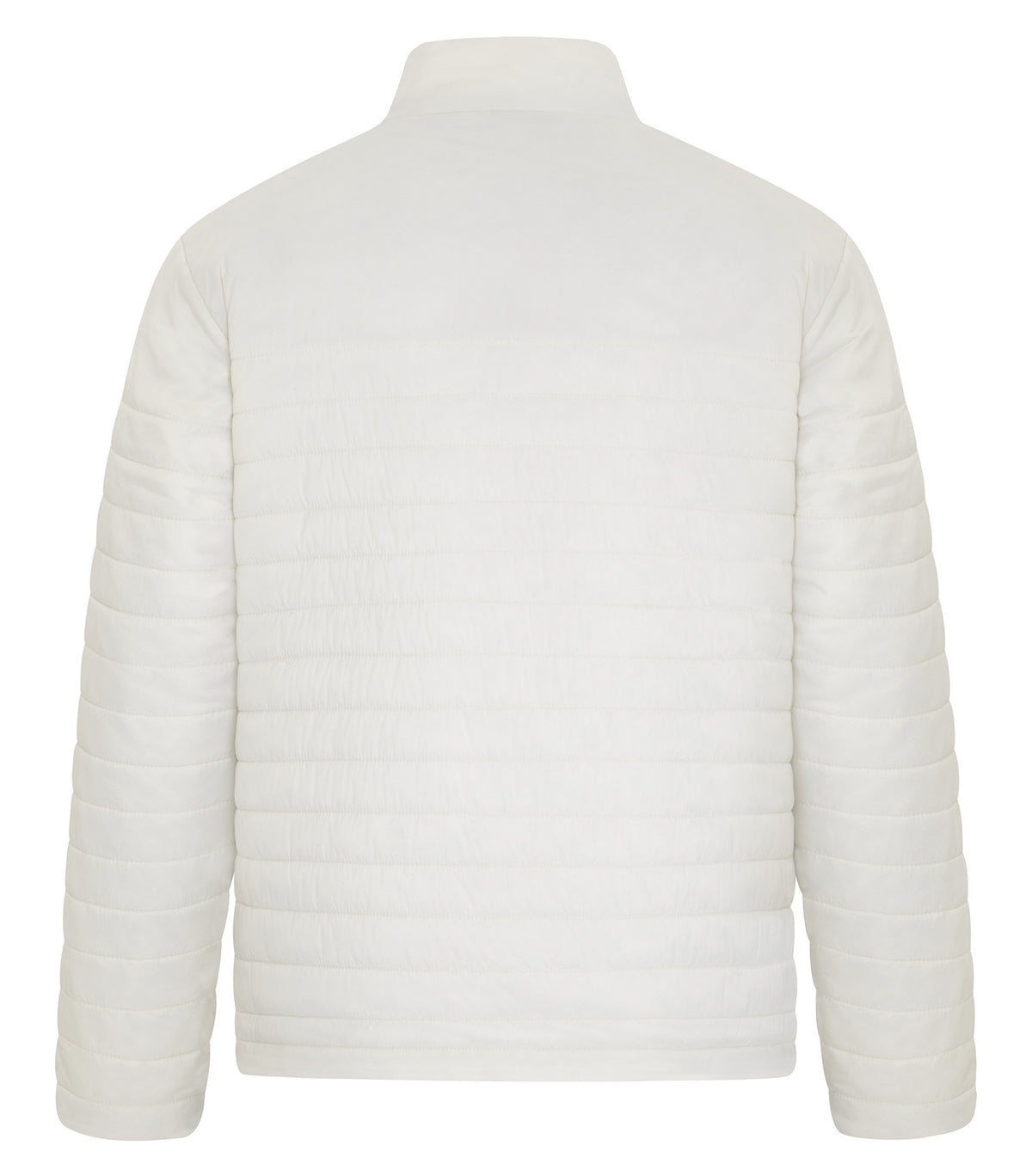 Ivory-model Image