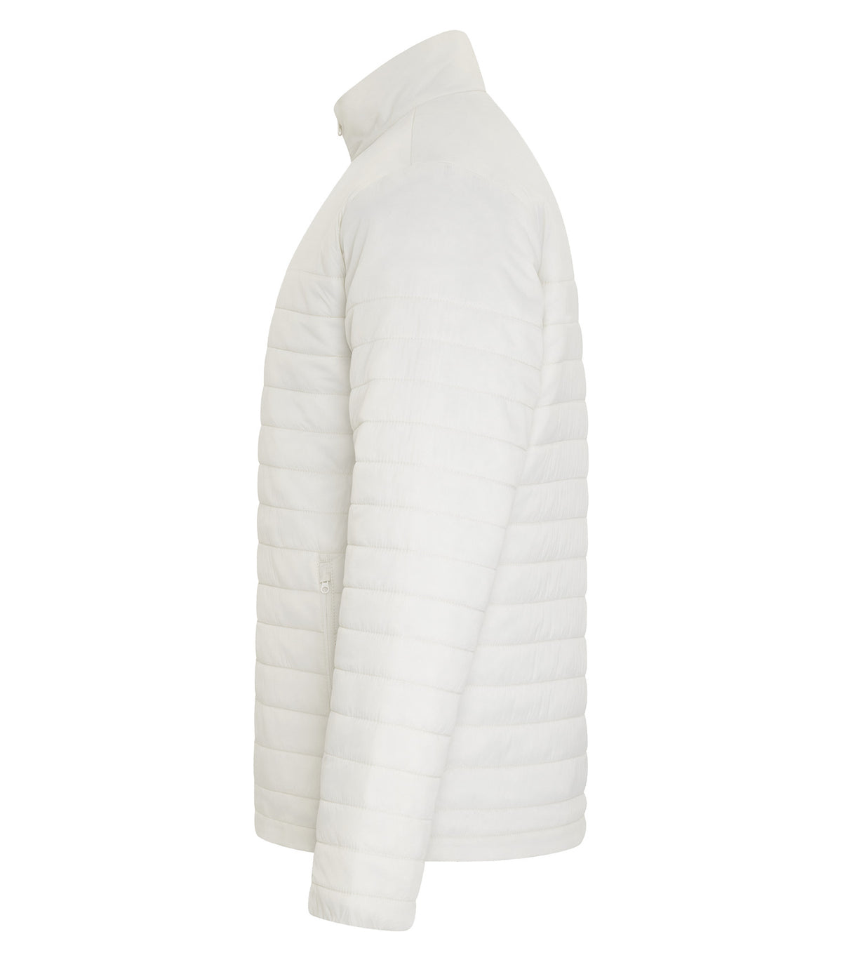 Ivory-model Image