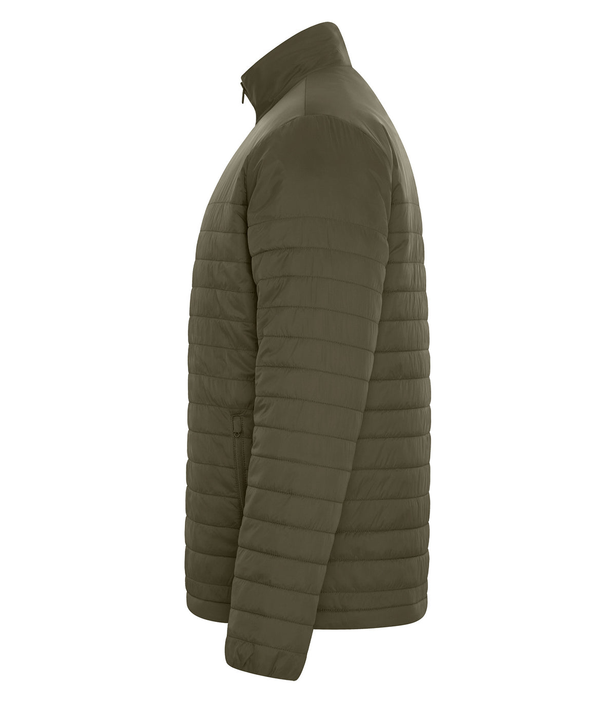 Olive Green-model Image