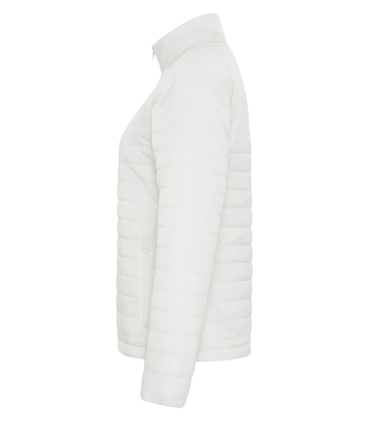 Ivory-model Image