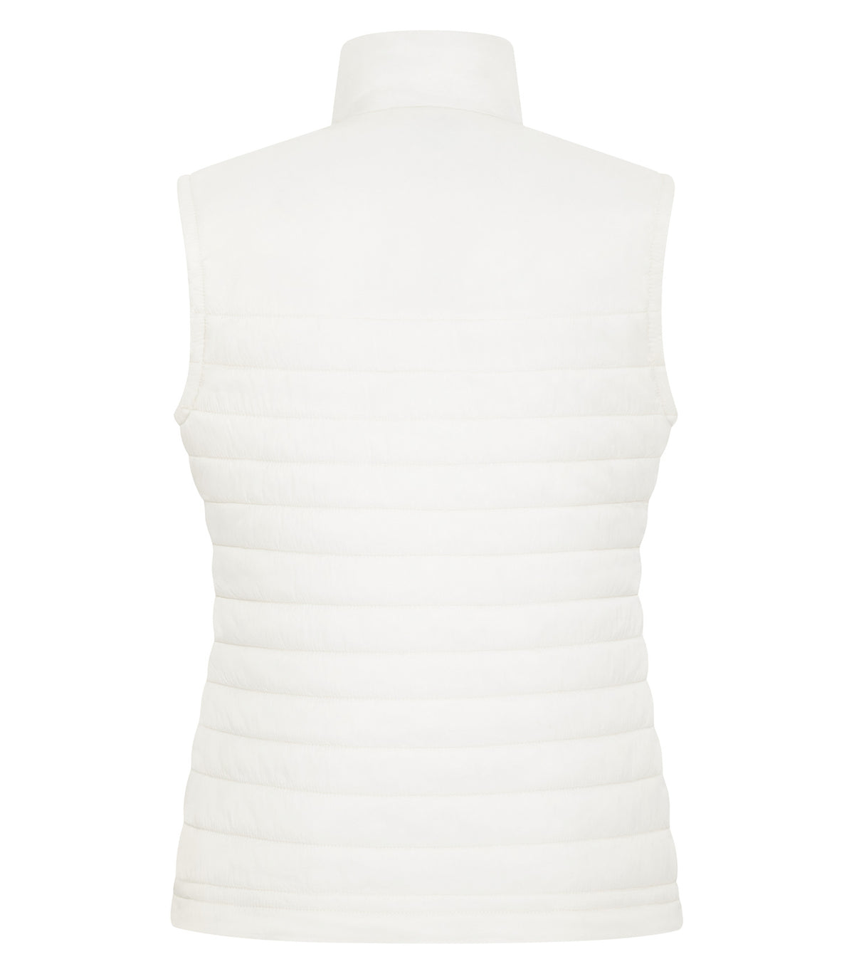 Ivory-model Image