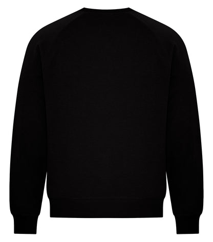 Onyx-model Image
